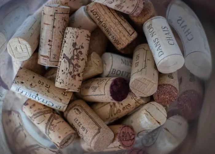 Villa & La Sur La Colline - Au Calme *